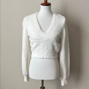 Aritzia neck cropped kitten sweater